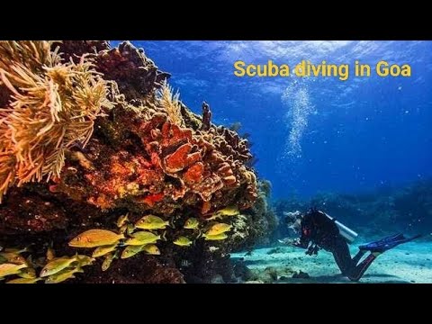 Scuba diving in Goa  || Malvan beach Goa || #scubadiving #shorts #vlog #devvlogs #goa #scuba 🤿🤿🏖️🏖️