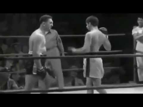 Epic MLG Boxer