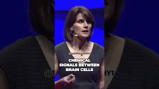 Unlocking Your Brain's Potential for Faster Learning and Memory