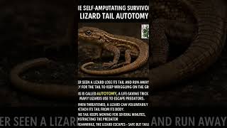 #youtubeshorts #viralvideo #trending #sciencestory #sciencestory #facts #song #funlearning #music