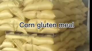 Corn Gluten Meal 60%