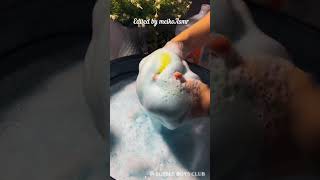 mr muscle @bubbleboysclub #asmrsponge #spongesqueezing #meikoasmr