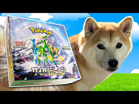 Opening NEW Cyber Judge Pokemon Booster Box
