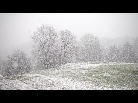 SNOWSTORM sounds  and relaxing wind blizzard for better sleep -meditation snow sounds-winter.