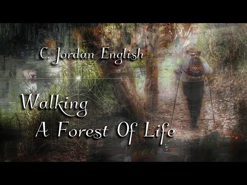 Walking A Forest Of Life, C. Jordan English