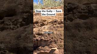 One Gully = Zero Productivity. #gullyerosion #watererosion #soilconservation