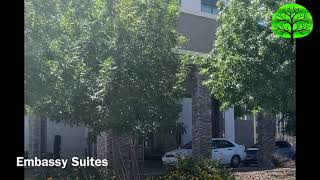 Green Earth Landscape