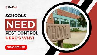 School Pest Control: Creating a Safe and Healthy Learning Environment | Dr. Pest