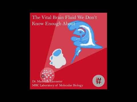 24.That Vital Brain Fluid We Don’t Know Enough About with Dr. Madeline Lancaster