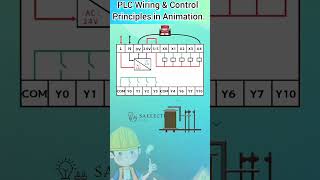 PLC input/output wiring.|PLC wiring diagram in Animation. #shorts