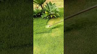 #short #agriculture #agritools#farming2024  #youtubeshorts #satisfying #EliteShortsUnleashed #2191