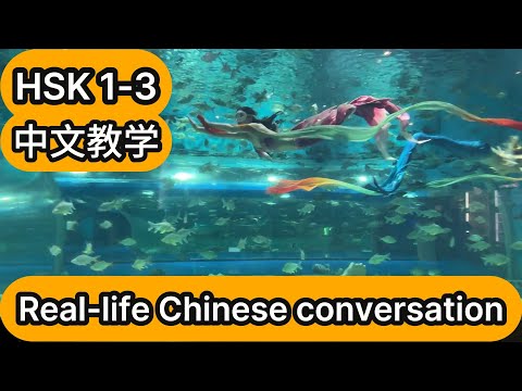 HSK3|学习中文| chinese | 带你走进中国|动物大马戏#china