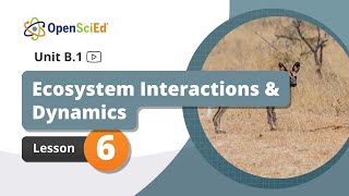 Unit B.1 Lesson 6 Planning Video | OpenSciEd On-Demand Resources