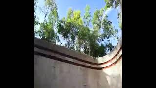 100 Day Building A Modern Underground Hut With A Grass Roof And A Swimming pool