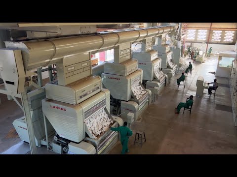 Traceable from the Source: Organic Cotton Story in Tanzania