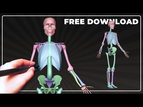 Modeling a Simplified Human Skeleton | Blender 3D