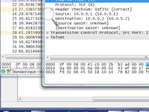 IP header part 1