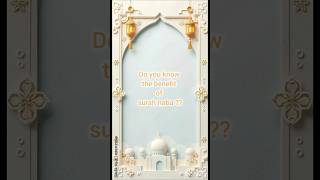 Do you know the benifit of surah naba?? #shorts #islamicknowledge #islamicshorts #halalvibes