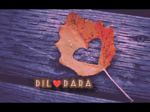 #lofimusic| dildaara (lofi ) lyrics| status