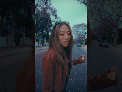 OUT WEDNESDAY (8.27) ​⁠@YouTubeMusic #cosmic #celinewanyi #rnbmusic #newmusic #singersongwriter