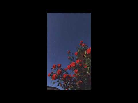 🎵 trippie redd - love me more slowed+reverb