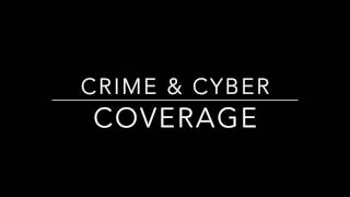 Cyber June 2014 Crime Coverage