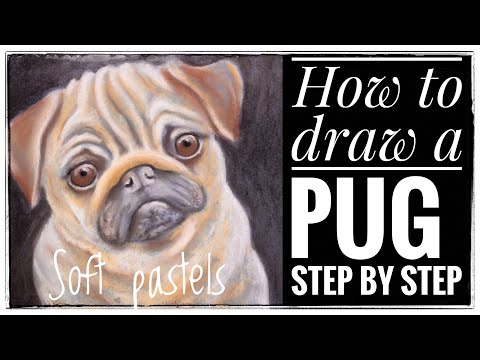 How to draw a dog in soft pastels #dogart #stepbystep #onlinelearning #howtodraw #arttutorial