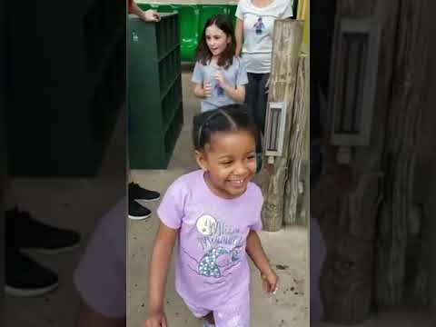 Surprise trip to Legoland Florida and Legoland Beach Resort