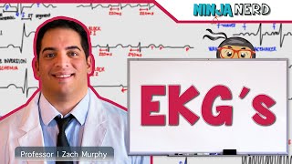 Cardiovascular | ECG's