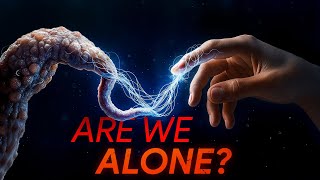 Fermi Paradox Finally Solved, And It’s Not Good