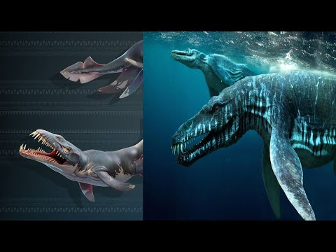 HUNGRY SHARK PRIMAL IN REAL LIFE!!!