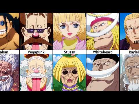 One Piece "Old" Characters in their Prime
