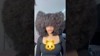 Hairstyles I can do with my big afro #curlyhair #afro #hair