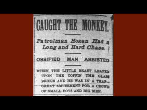 Ossified Man Aids In Monkey Arrest
