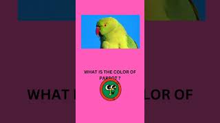 Colors Quiz short|  Colors Test |Color game for Kids | Preschoolers/Toddlers | Puzzles/Guess Quiz