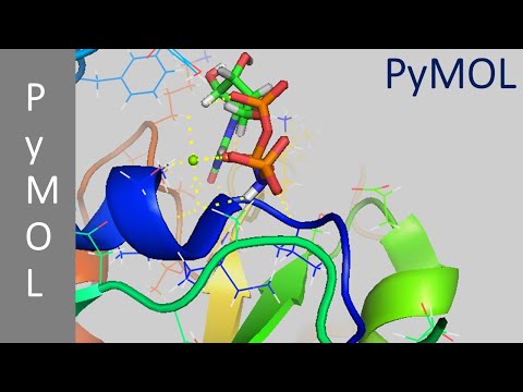 PyMol for Beginners | pymol | Introduction to pymol | molecular visualization | Scitechtrends