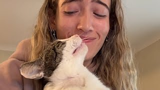 Terrified stray cat turns out to be lovebug