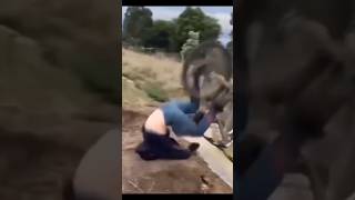 When Your Program Fights Back 😨💻 #programming #codingcommunity