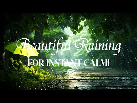 Listen To This Rain For Instant Calm!