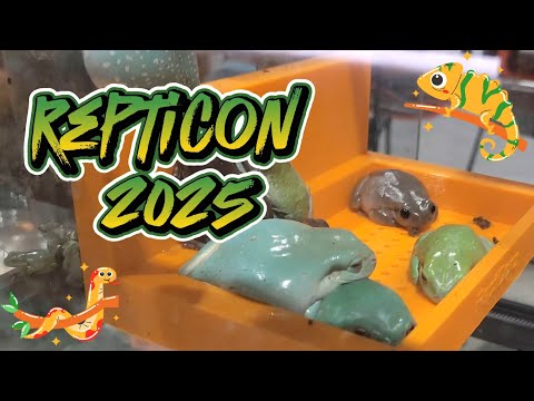 Repticon 2025 (Tampa, FL)