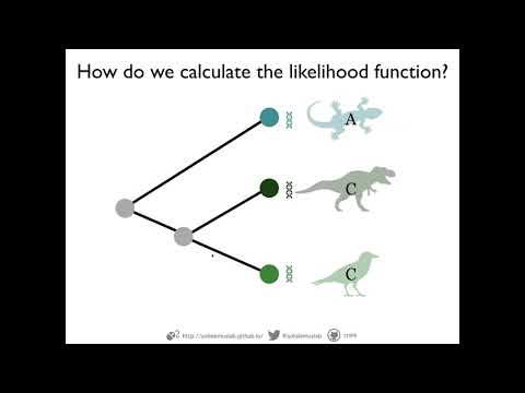 Short intro to phylogenetics research at Solis-Lemus lab