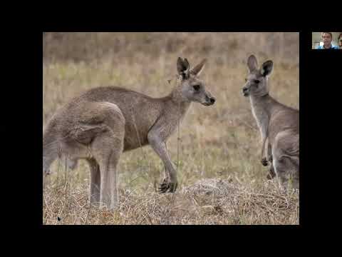 OFFS Talk: Staying Alive - Peter Ridgeway on Western Sydney's Wildlife