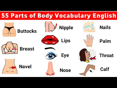 55+ Parts of Body | Body Parts In English | daily use english | Listen And Practice | #bodyparts