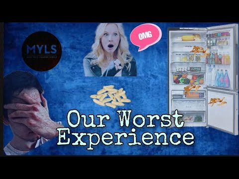 Maggots in Refrigerator | Worst Experience
