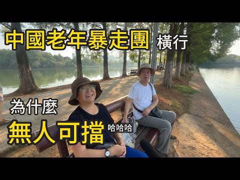 “Why can’t anyone stop China’s power-walking groups?”