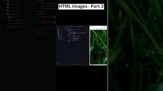 Mastering HTML Image Tags: Using Relative Paths in src Attribute! #htmlintroduction #codewithmayur