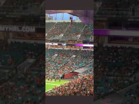 A cat at the Miami football game fell from the upper deck and these guys saved it