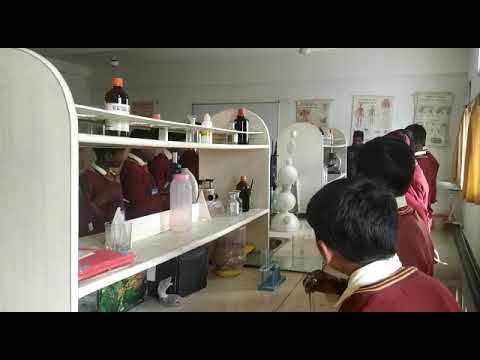 How to check acid by litmus paper