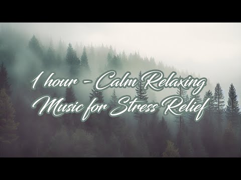 1 Hour of Calm Relaxing Music for Stress Relief, Anxiety, Sleep, Study and Meditation