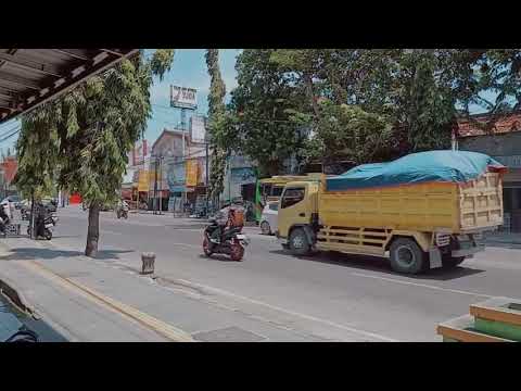 Sidewalk Stillness Finding Peace in the Passing Moments